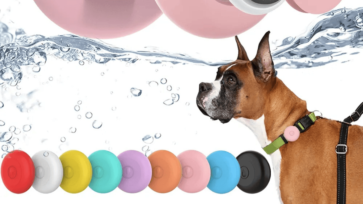 Apple AirTag dog collar holder waterproof